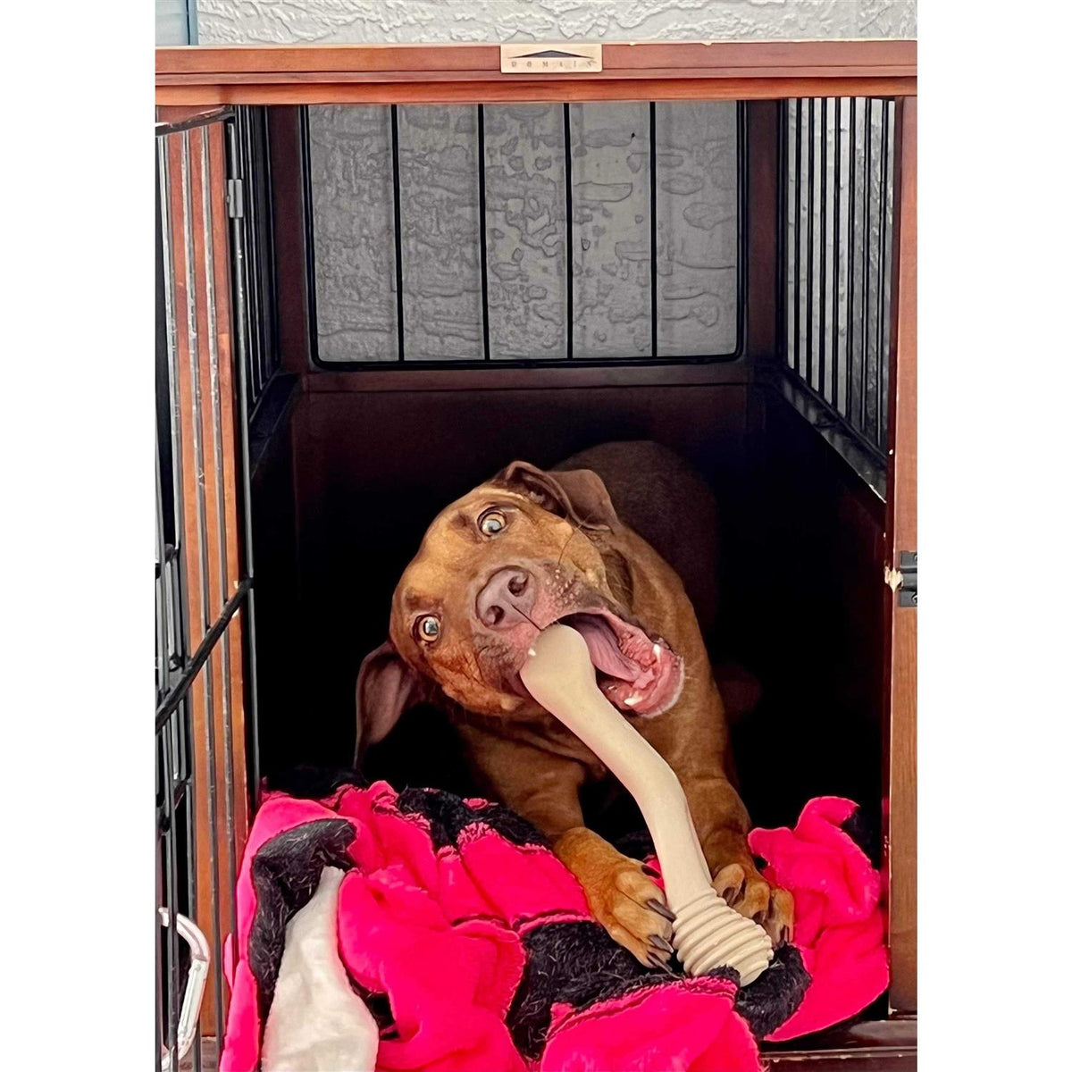 Tough Dog Chew Beef Z7717
