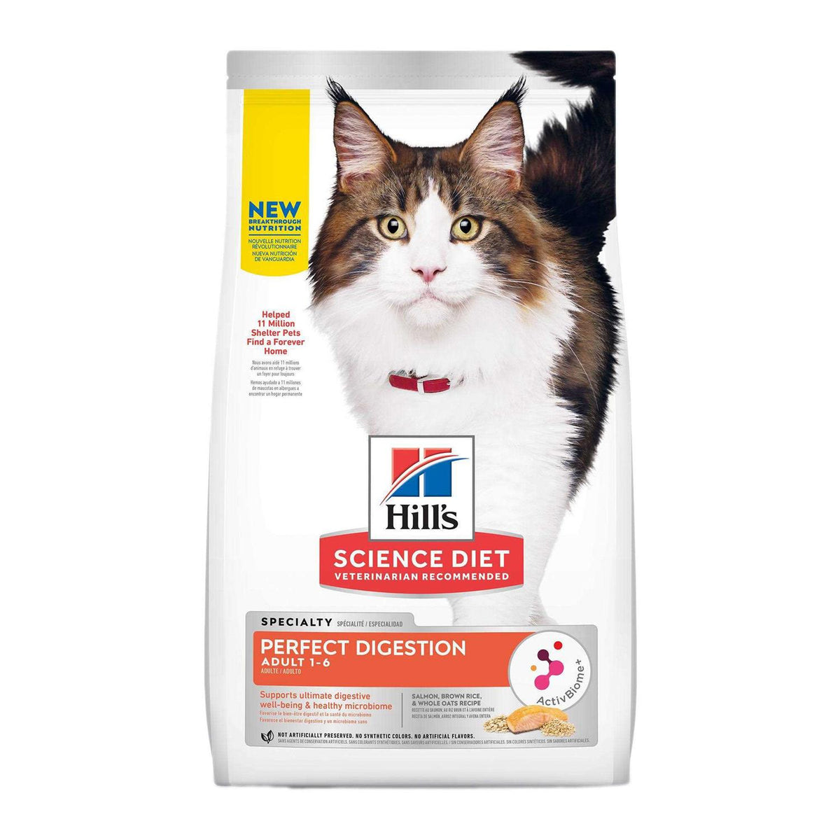 Adult Cat Dry Food Salmon I666