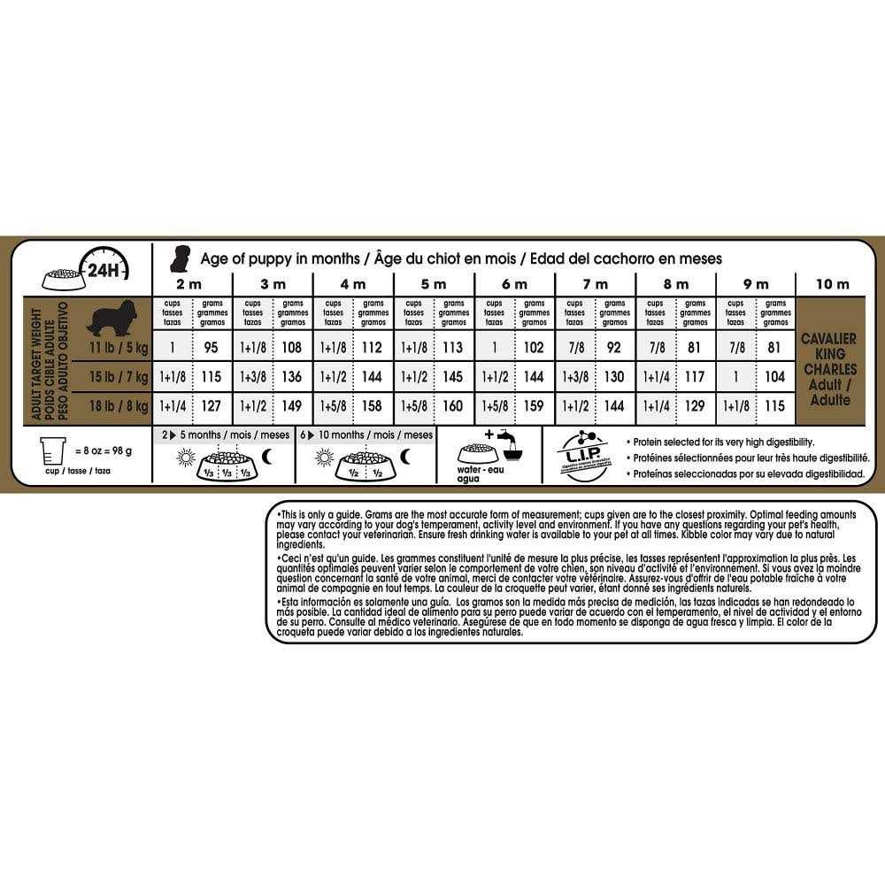 Puppy Dry Dog Food Z42839