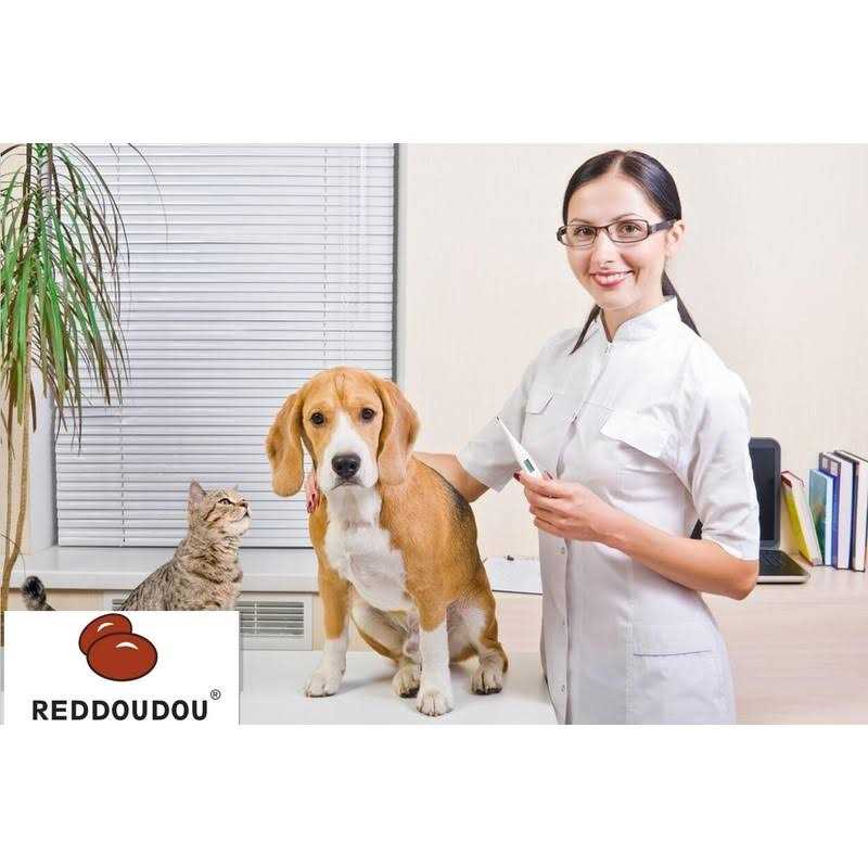 Waterproof Digital Pet Thermometer S79011