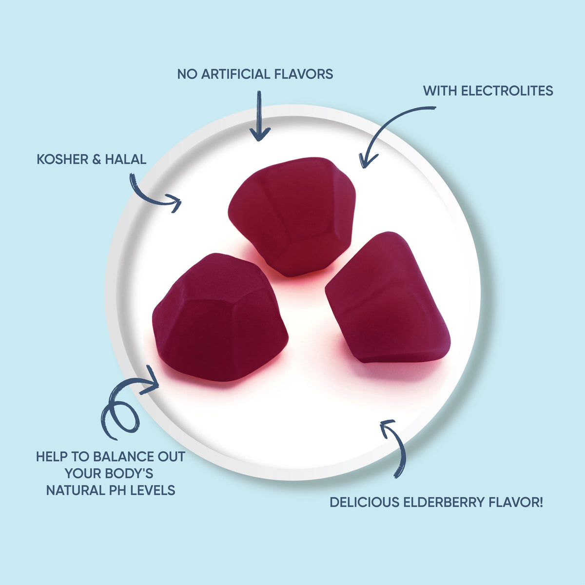 Elderberry Electrolyte Gummies 2 Pack 44 Count E41298