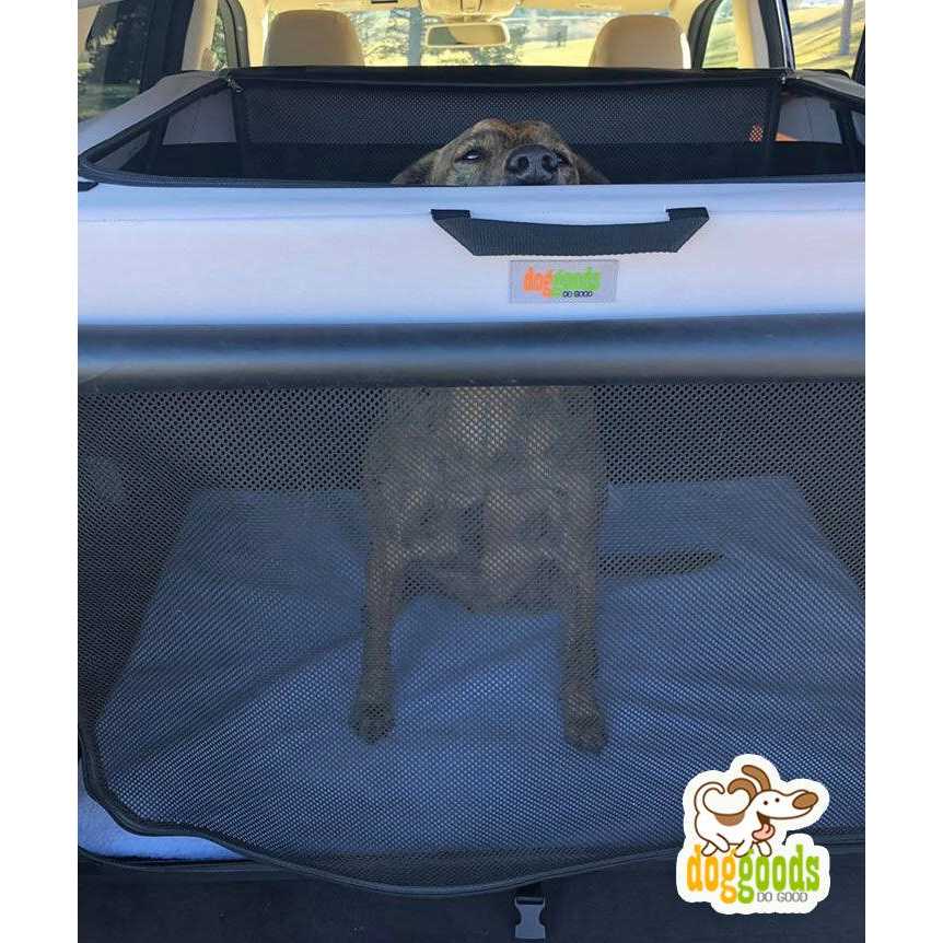 Foldable Travel Dog Crate K806852