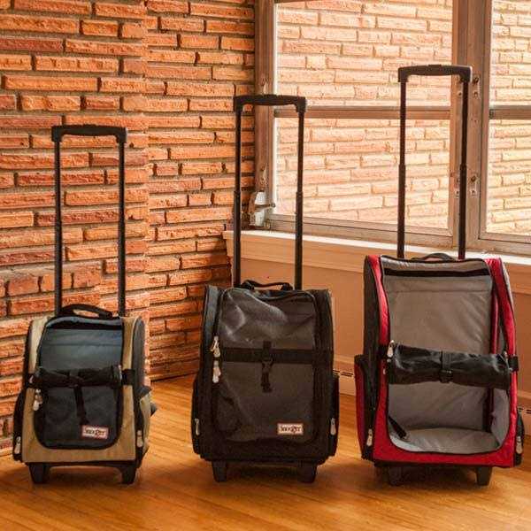Travel Pet Carrier L463199