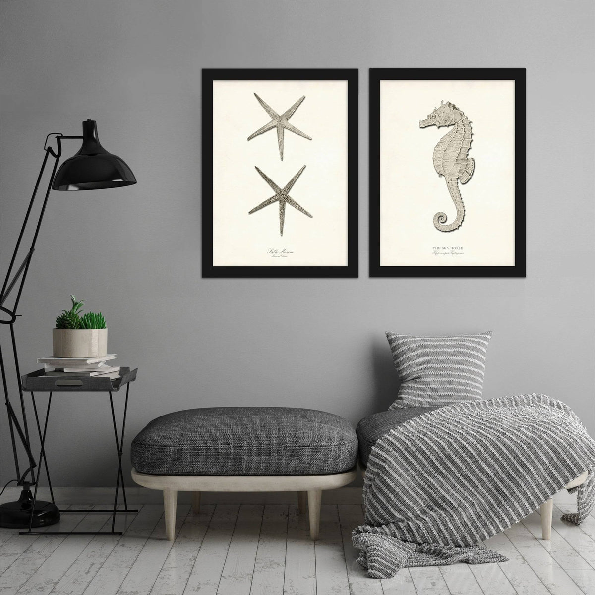 Greige Sea Horse 2 Piece Black Framed Print Set D18366