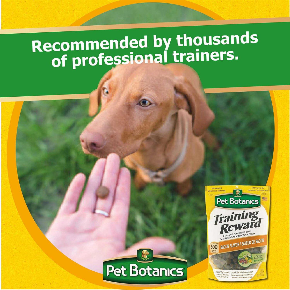 Dog Training Treats Bacon O341830