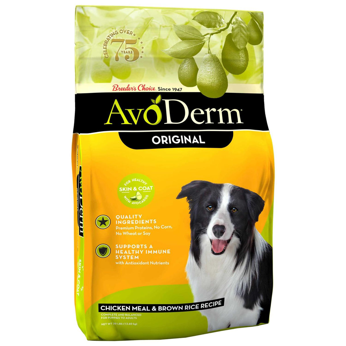 Natural Chicken Meal & Brown Rice Formula Adult Dry Dog Food Y85458