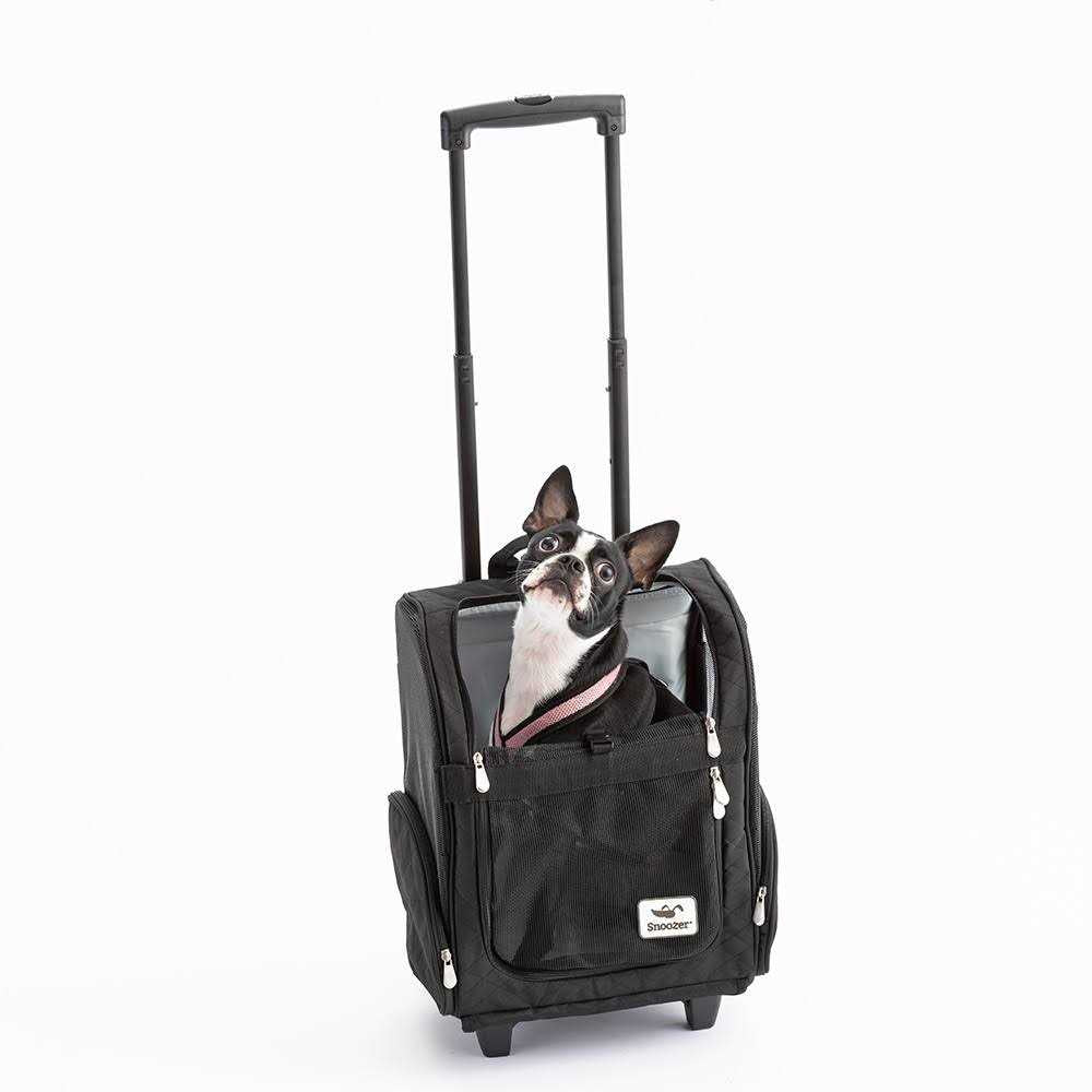Travel Pet Carrier L463199