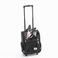 Travel Pet Carrier L463199
