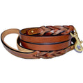 Leather Braided Dog Leash R7036