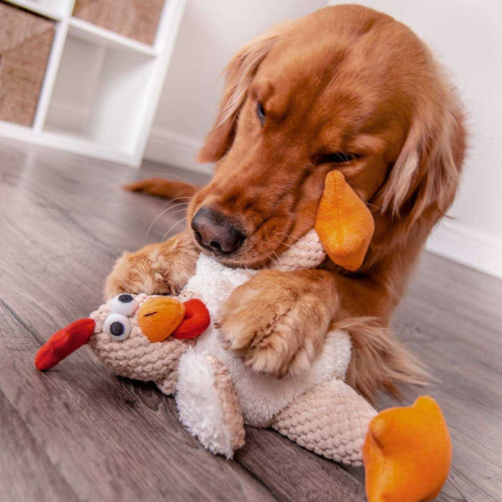 Dog Toy I254494