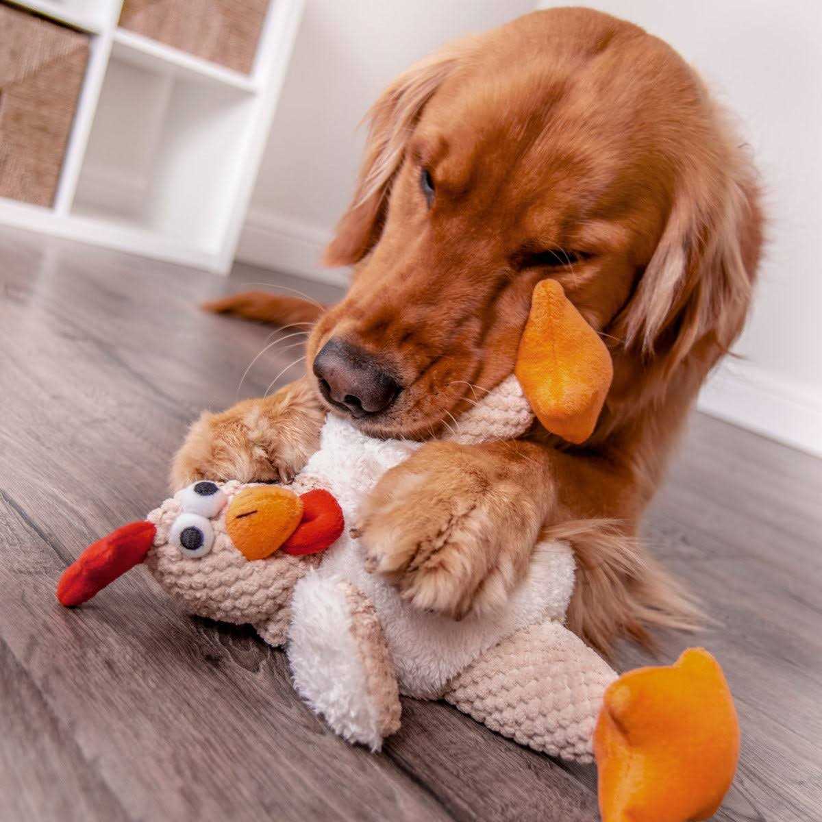 Dog Toy I254494