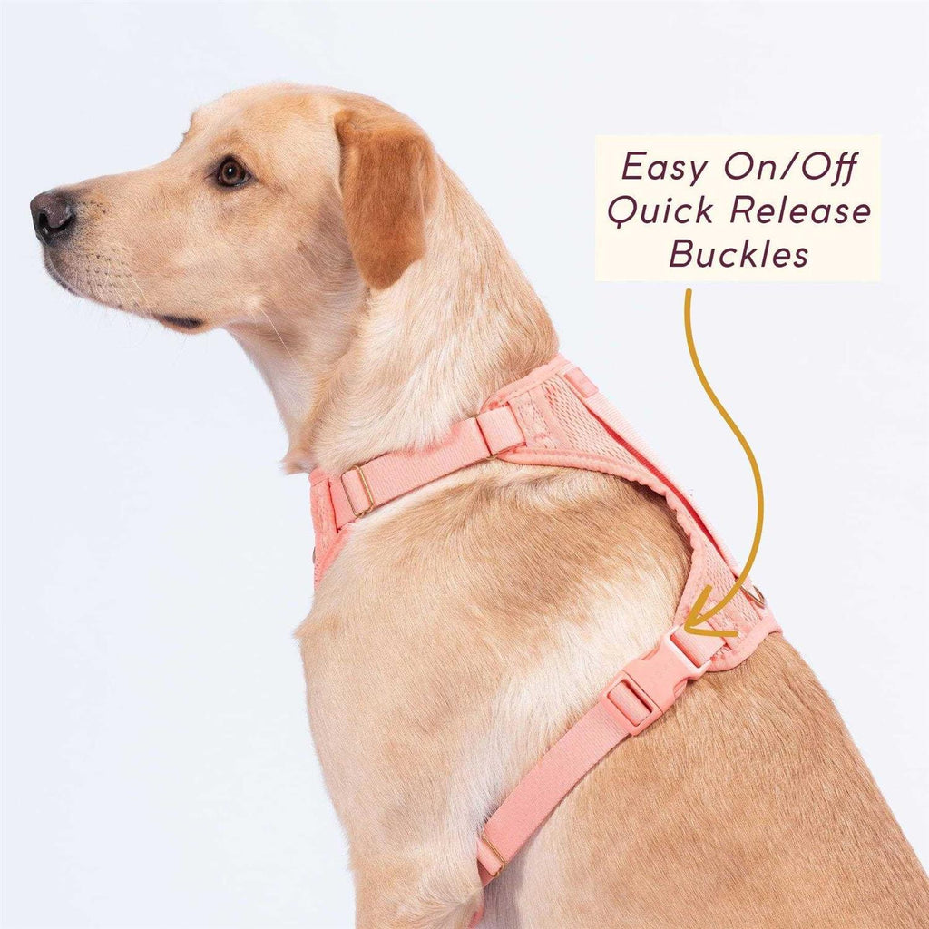 Huggie Harness I9299