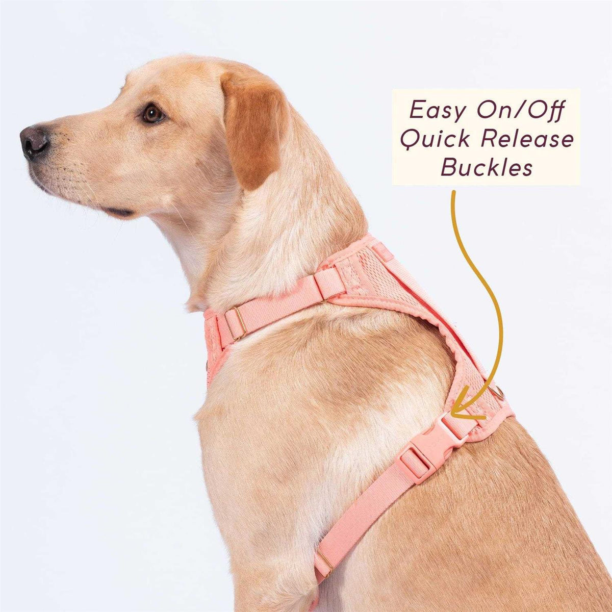 Huggie Harness I9299