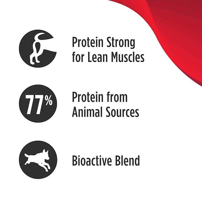 Salmon Dry Dog Food Y25512