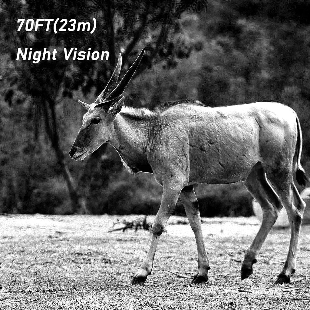 20MP Trail Camera with Night Vision J2687