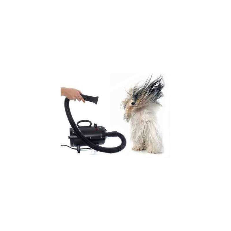 Pet Hair Dryer O61540