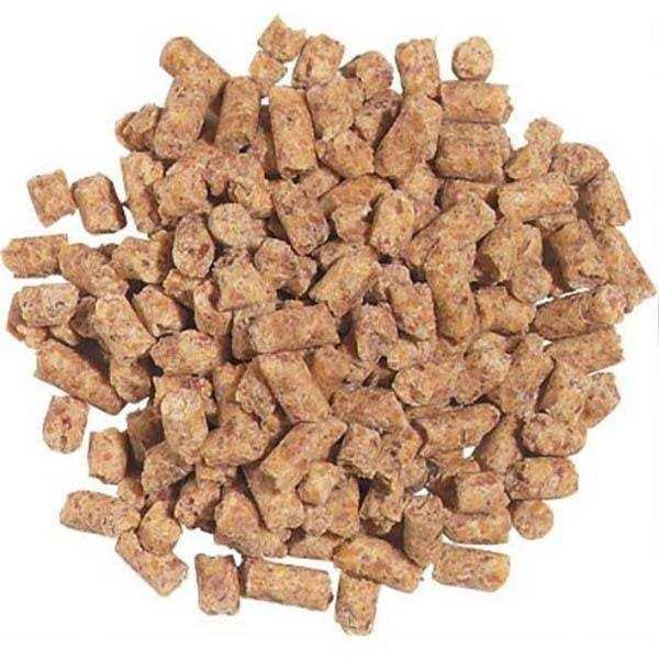 Daily Maintenance Medium Pet Supplies R5213