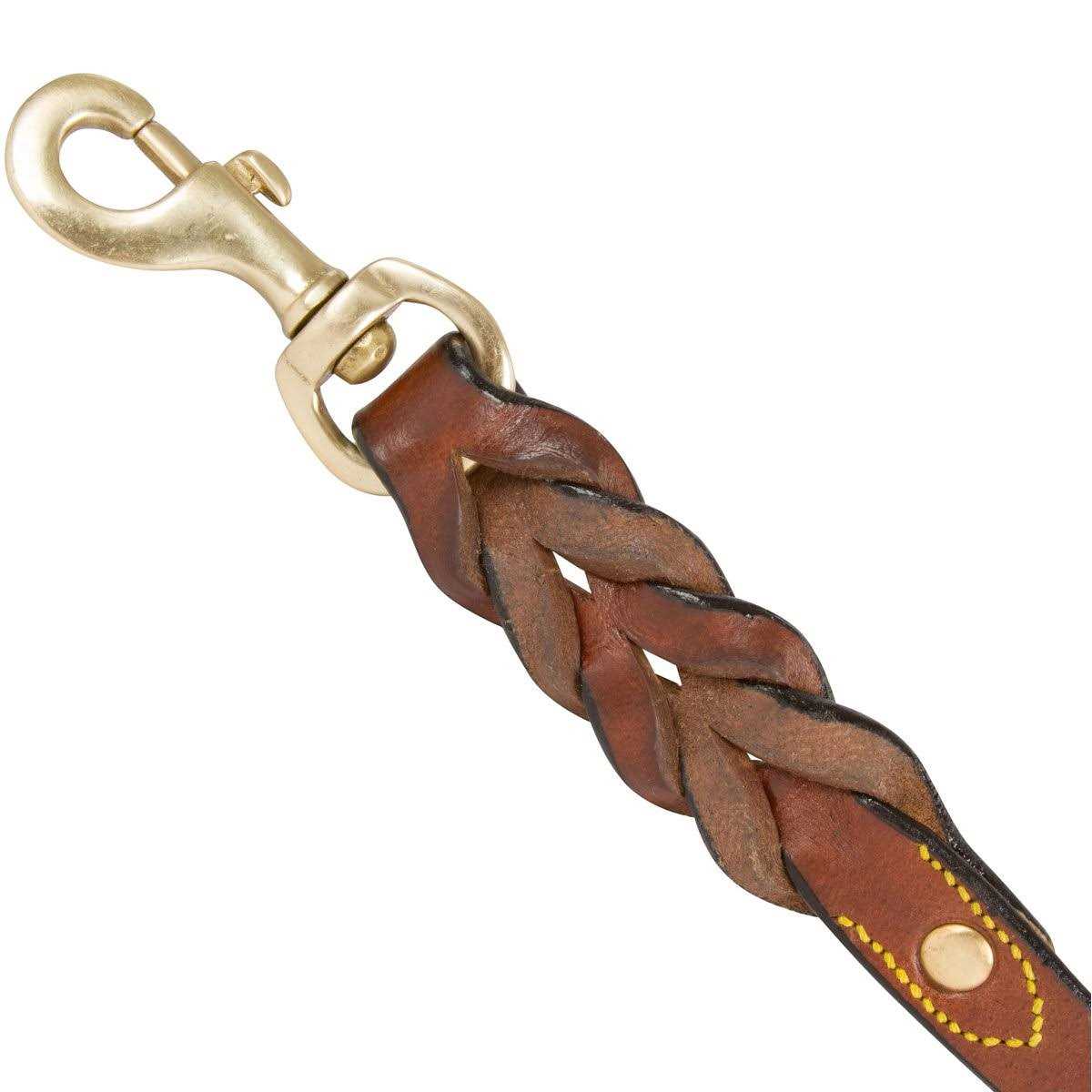 Leather Braided Dog Leash R7036