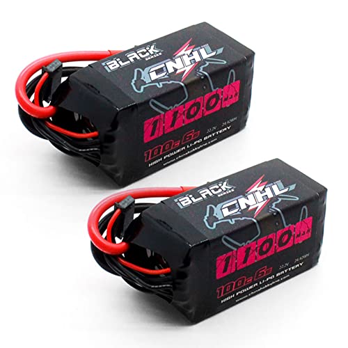6S 1100mAh 100C 22.2V Lipo Battery with XT60 Plug (2 PCS) V117407