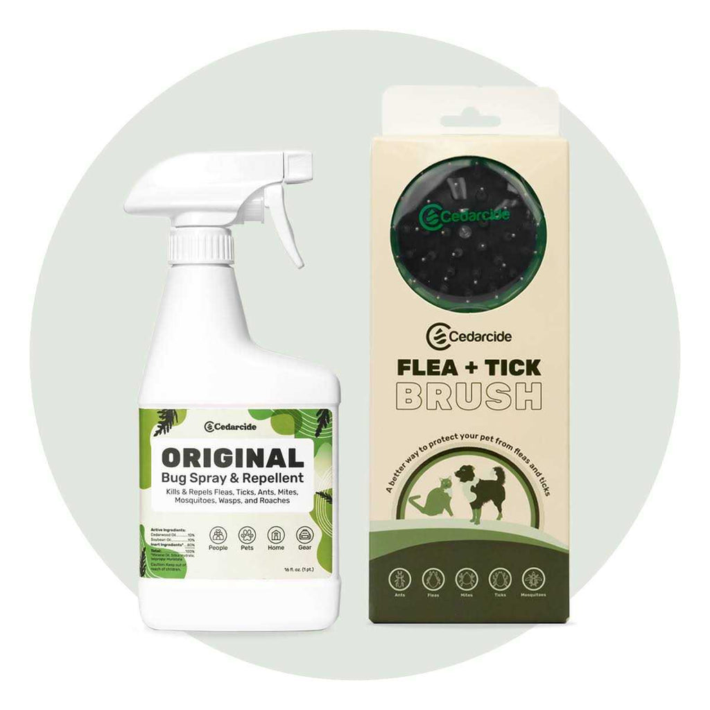 Flea + Tick Pet Brush B187009