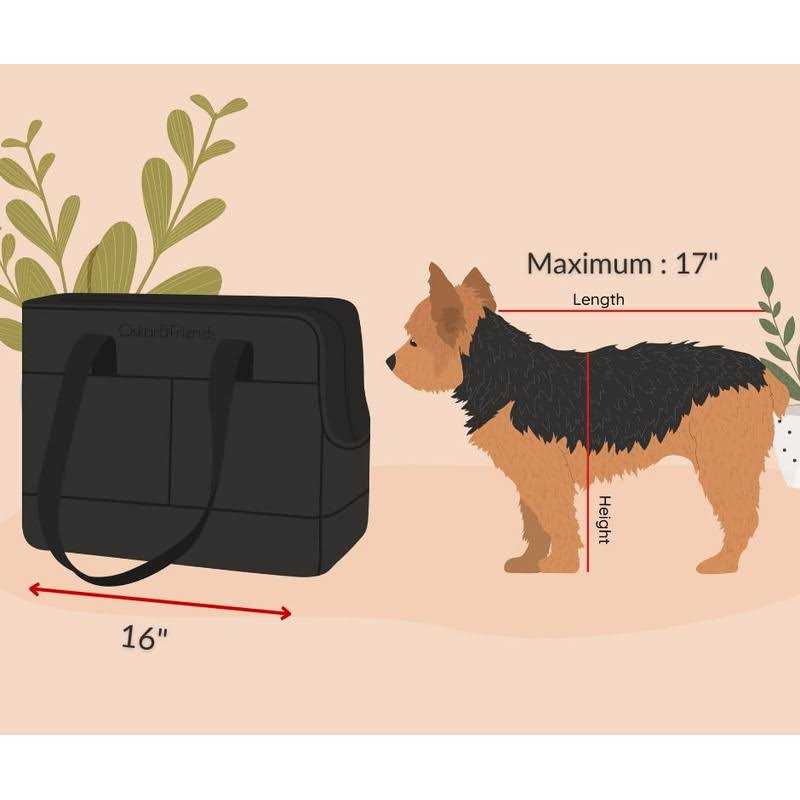 Pet Tote Bag for Small Dogs and Cats K337971