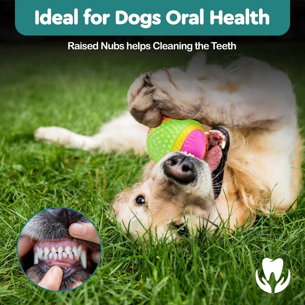 Sensory Ball Dog Toy R745202
