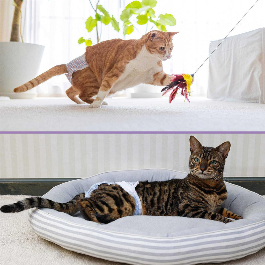 Disposable Cat Diapers H2262