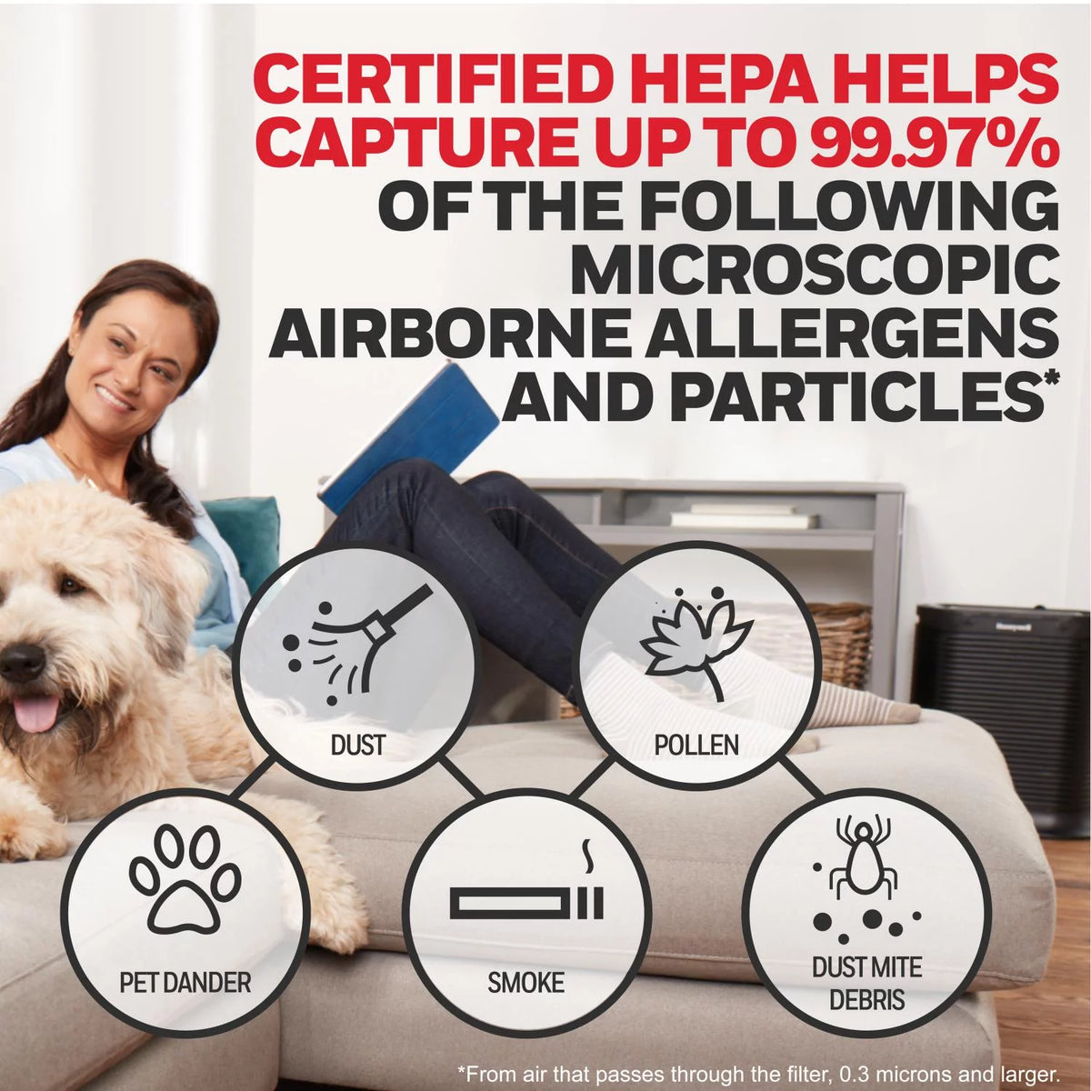 Air Purifier HEPA Filter 465 sq ft L403