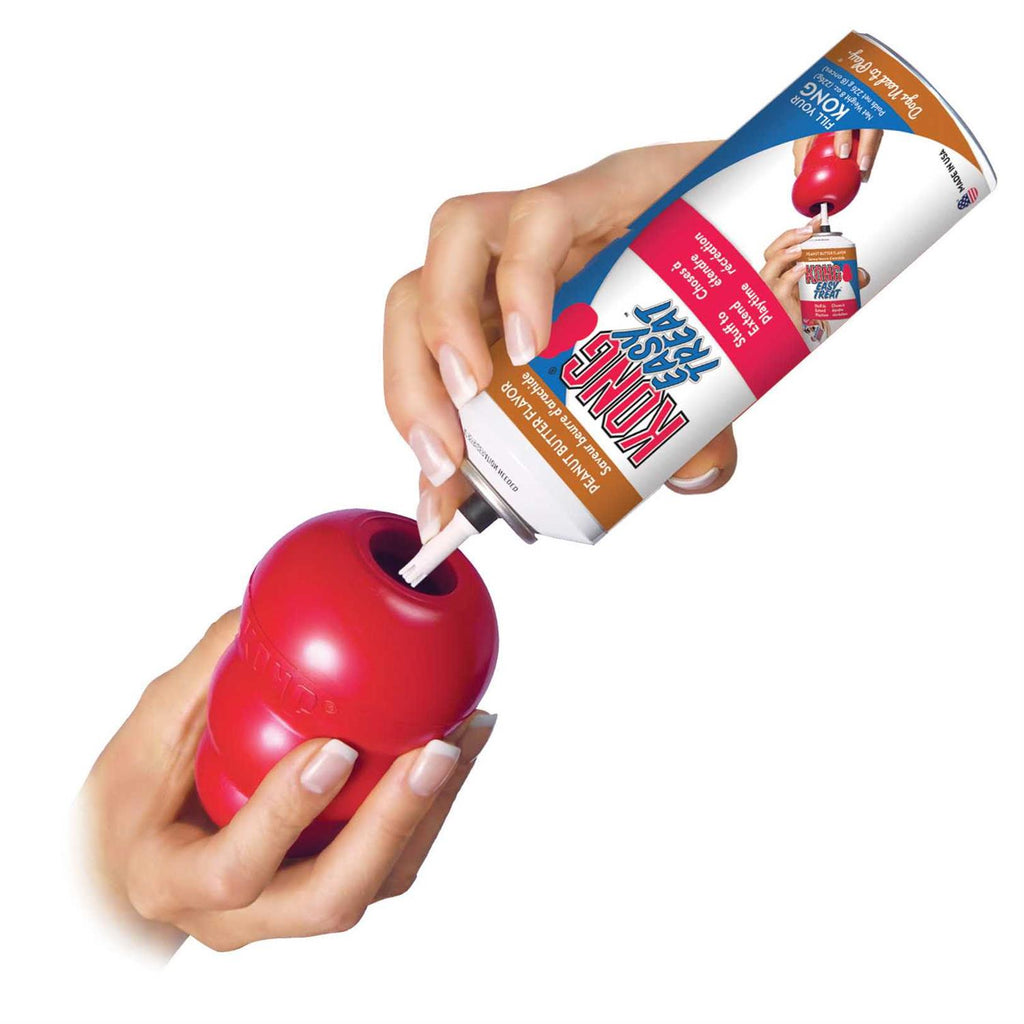 KONG Dog Toy O4991