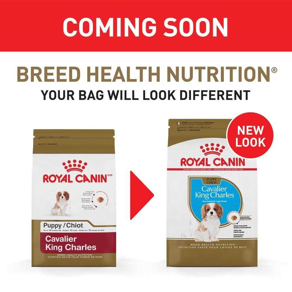 Puppy Dry Dog Food Z42839