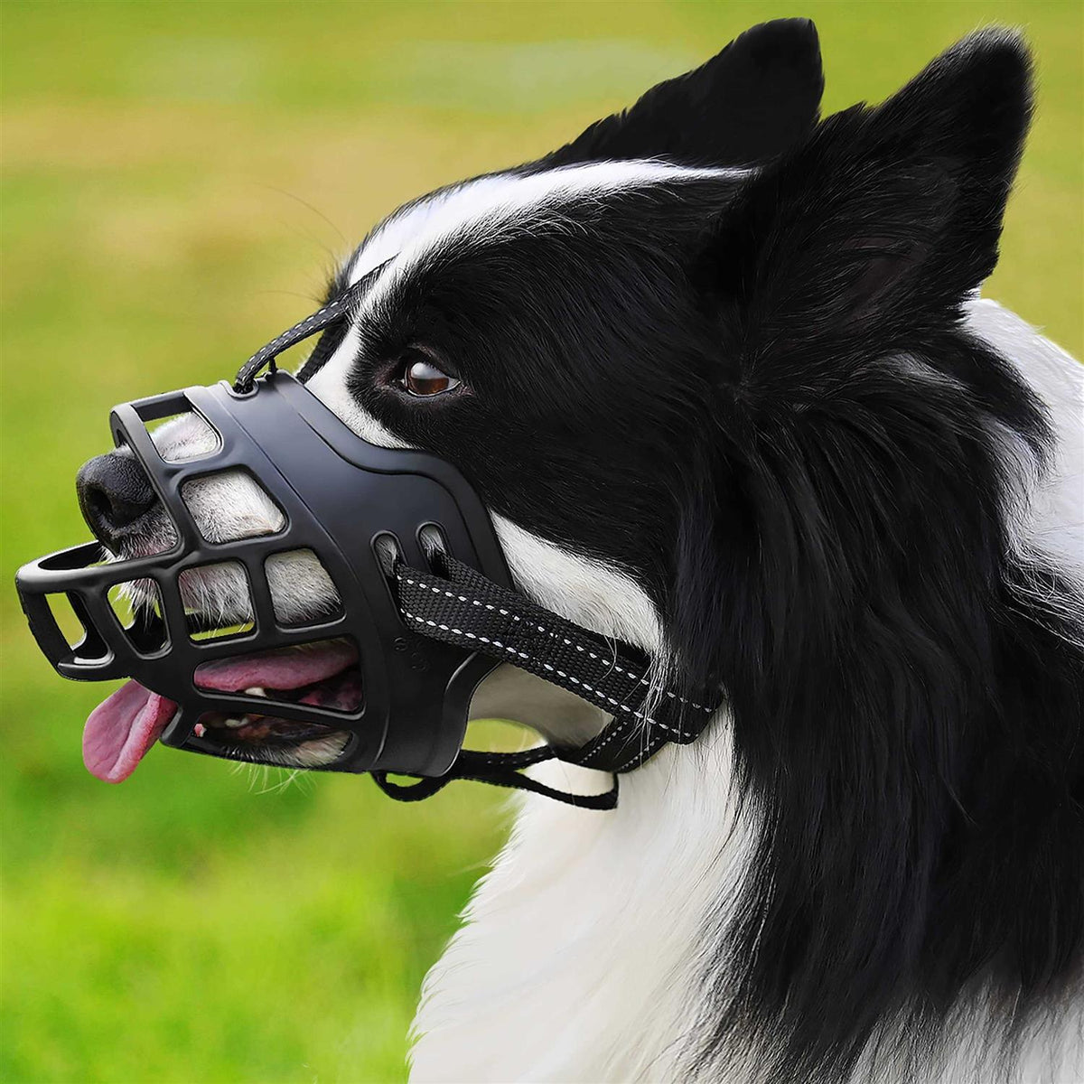Dog Muzzle, Anti Biting and Stop Chewing X3273
