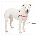 Easy Walk Harness D5219