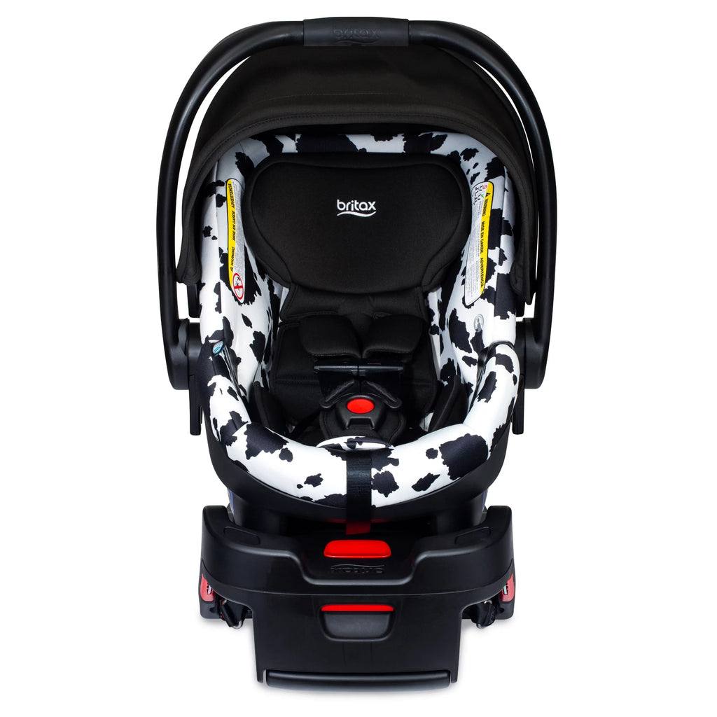 Infant Car Seat Y994
