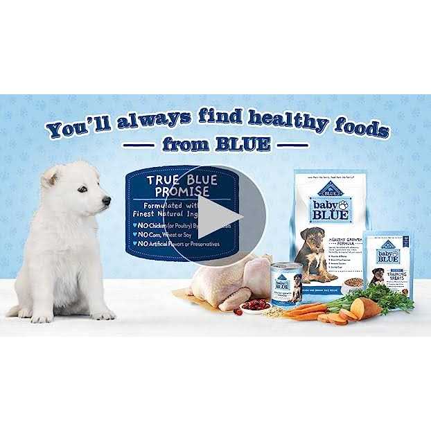 Chicken and Oatmeal Rice Recipe Small Breed Puppy Dry Dog Food 4-lb F509770