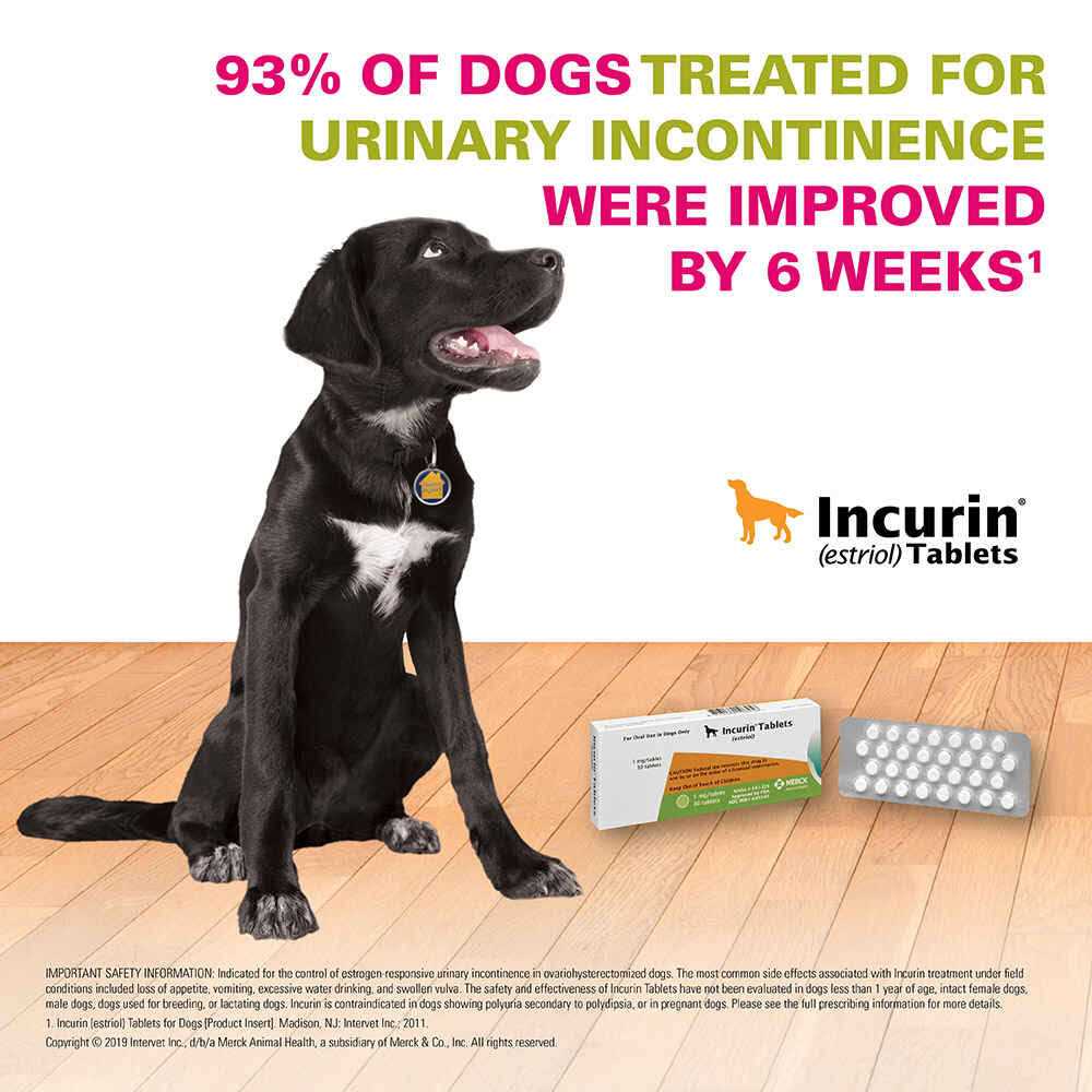Tablets for Dogs I3386