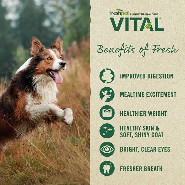 Grain-Free Chicken Small Breed Dog Food Y885