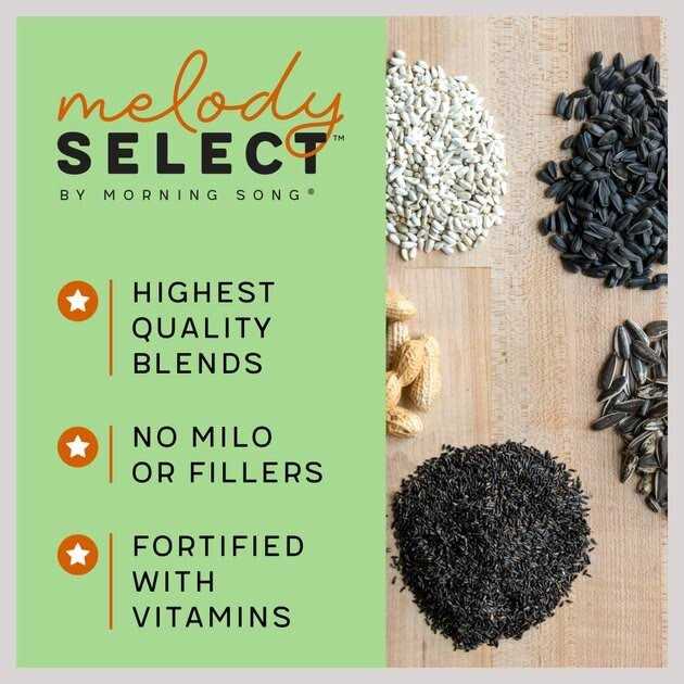 Hot Pepper Blend Bird Food B836