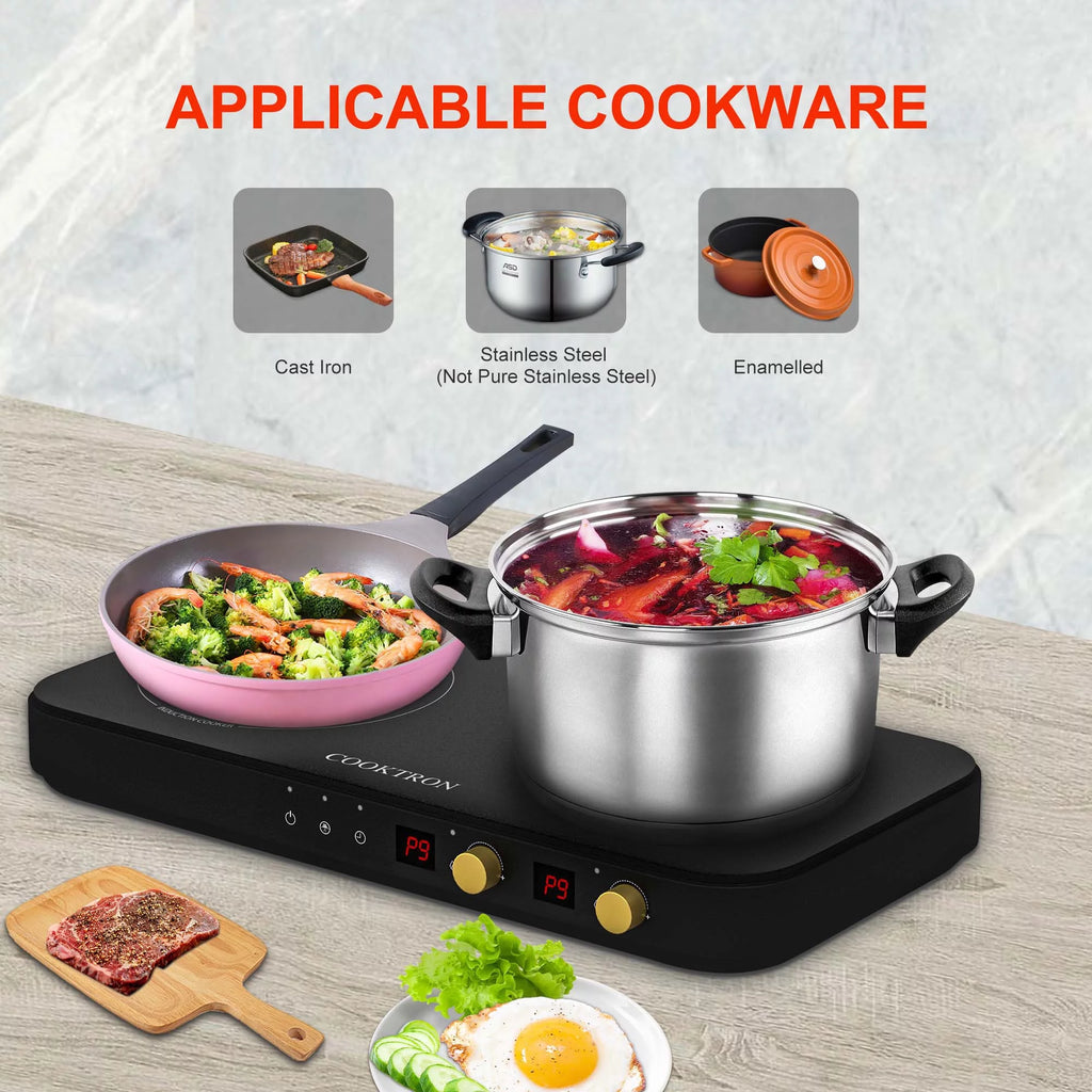 1800W 230V Double Burner Electric Induction Cooktop T735