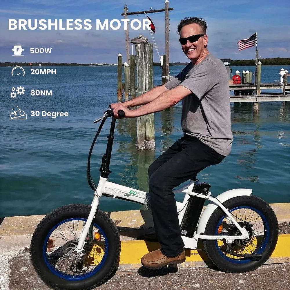 20 Fat Tire Folding Electric Bike 500W 36V S161