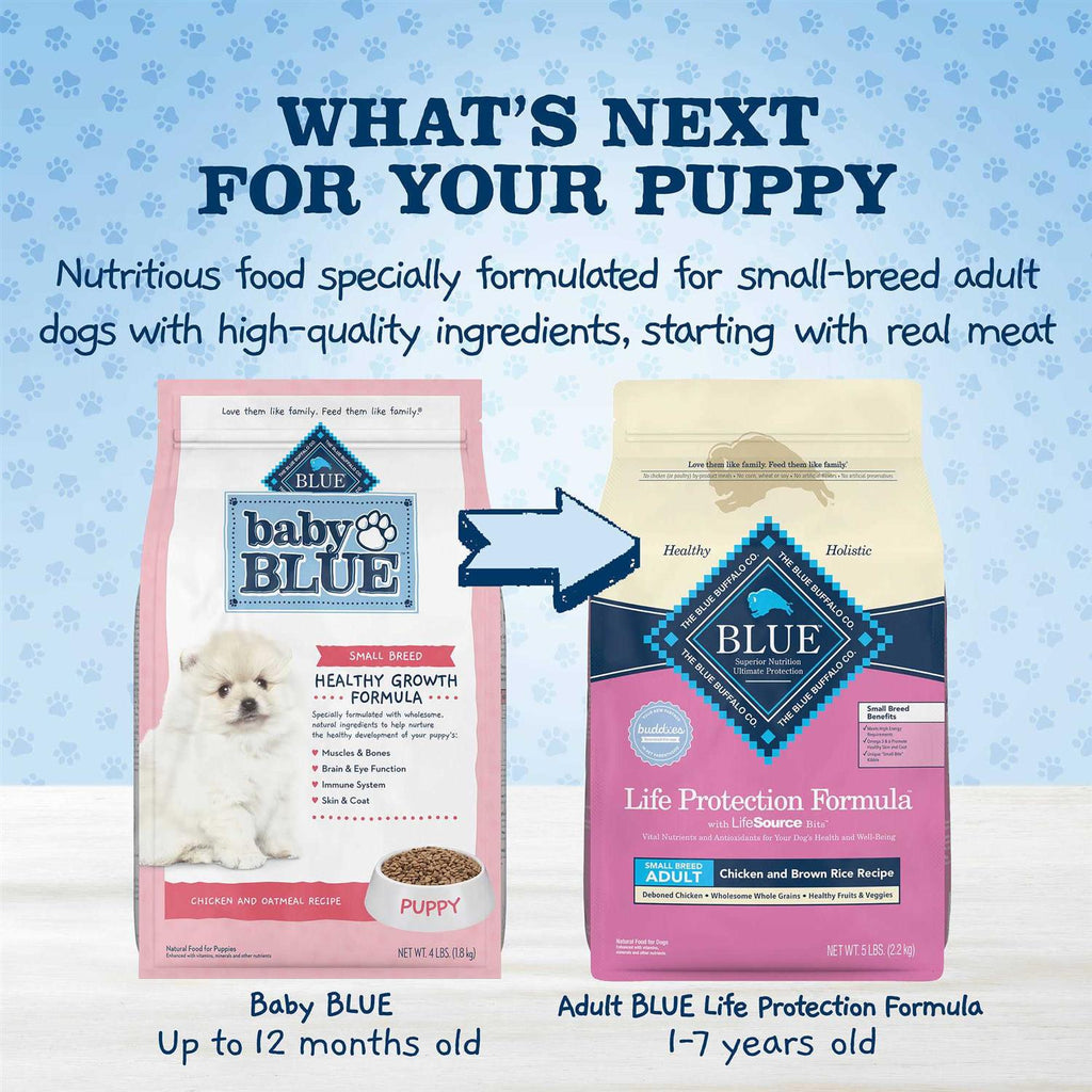 Chicken and Oatmeal Rice Recipe Small Breed Puppy Dry Dog Food 4-lb F509770