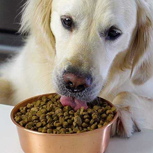 Pasture Raised Lamb Ancient Grains Dry Dog Food F595761