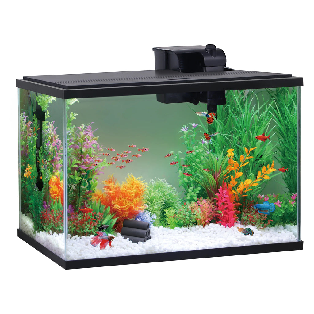 29 Gallon Glass Aquarium Starter Kit V28063