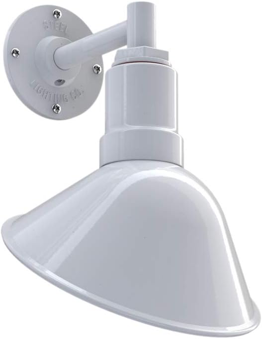 Matte Black 9 in Dome 16 in Gooseneck Outdoor Wall Light C59831