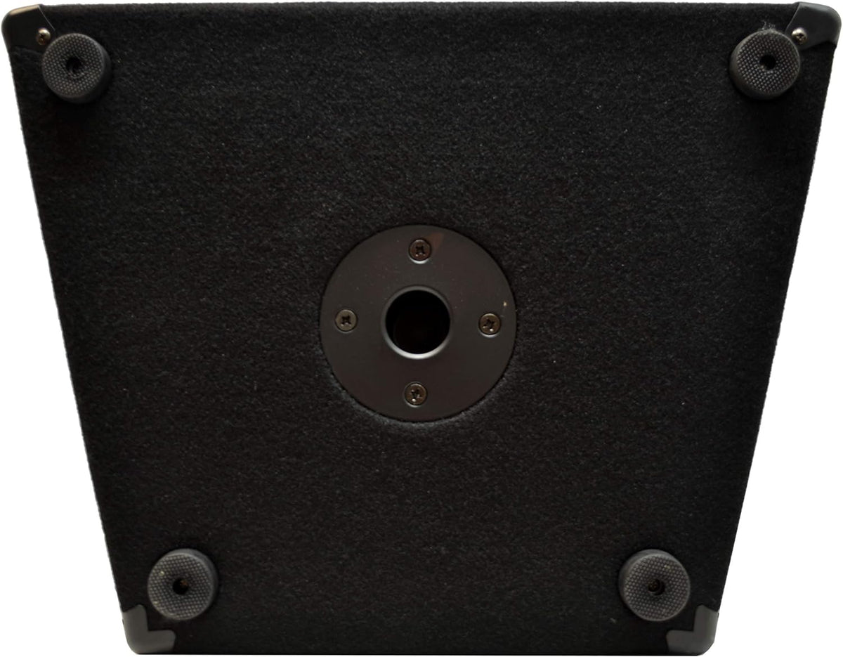 15 Passive 900W 2-Way PA Speaker Cabinet X993