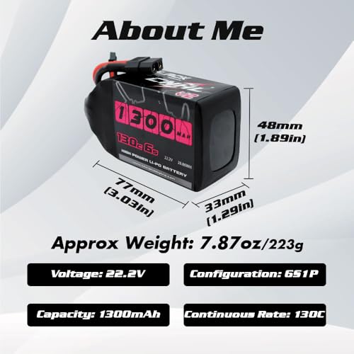 6S 1100mAh 100C 22.2V Lipo Battery with XT60 Plug (2 PCS) V117407