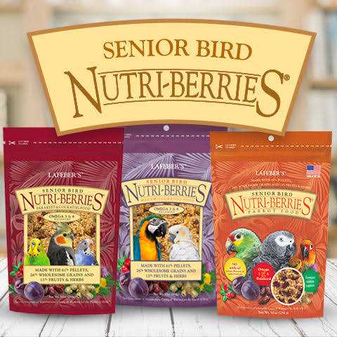 Senior Bird Nutri Berries Parrot Food Y58370