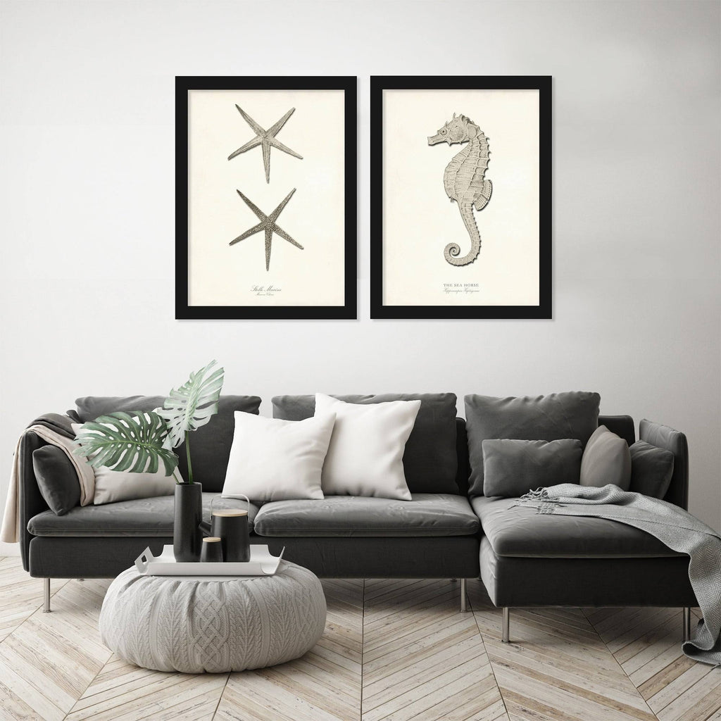 Greige Sea Horse 2 Piece Black Framed Print Set D18366