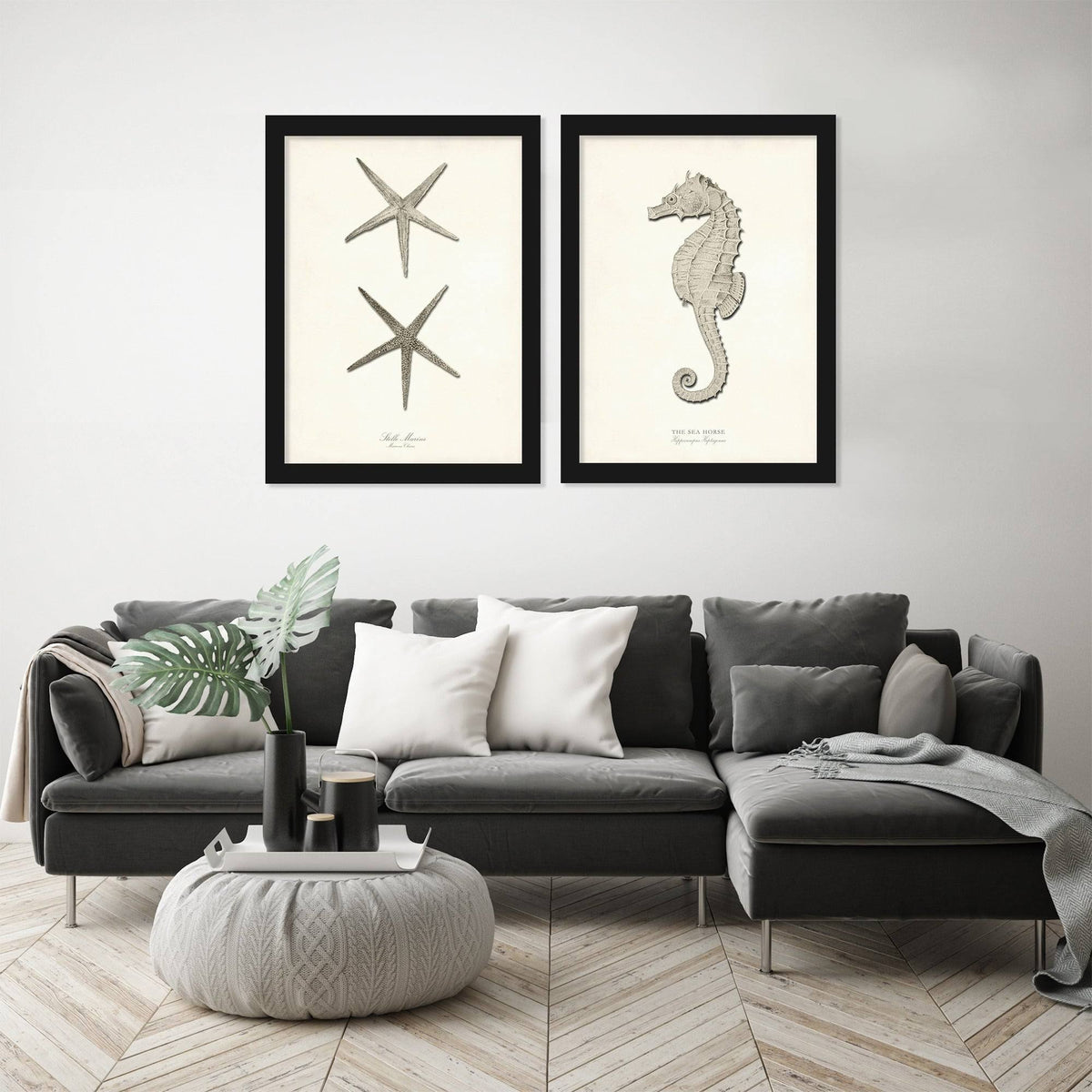 Greige Sea Horse 2 Piece Black Framed Print Set D18366