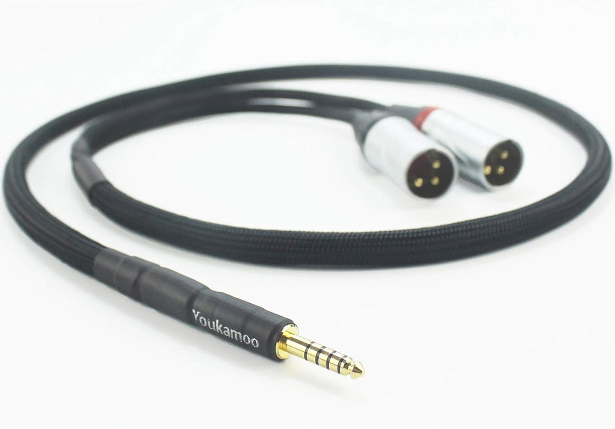 4.4mm to Dual XLR Male Balanced Audio Adapter Cable 5 FT P57285