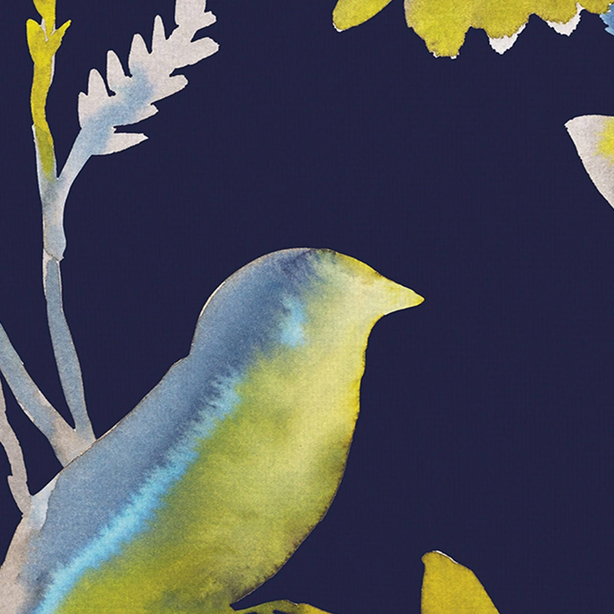 Birds and Feathers Canvas Art Set of II 16 inch x 20 inch N502